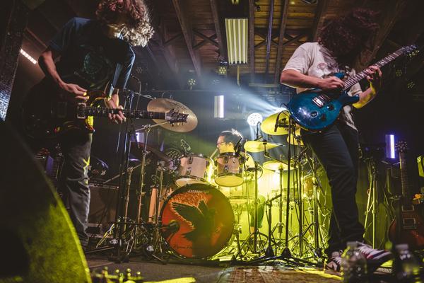 Pigeons Playing Ping Pong